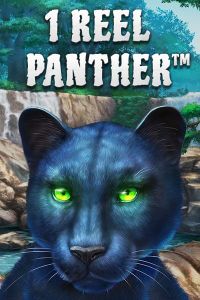 1 Reel Panther