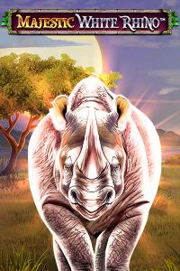 Majestic White Rhino