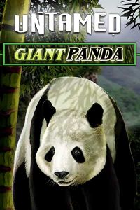 Untamed - Giant Panda