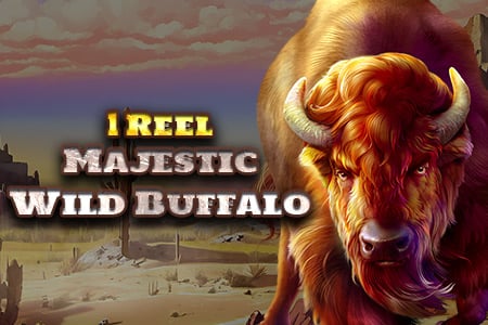 1 Reel - Majestic Wild Buffalo