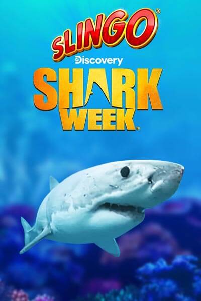 Slingo Shark Week