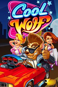 Cool Wolf