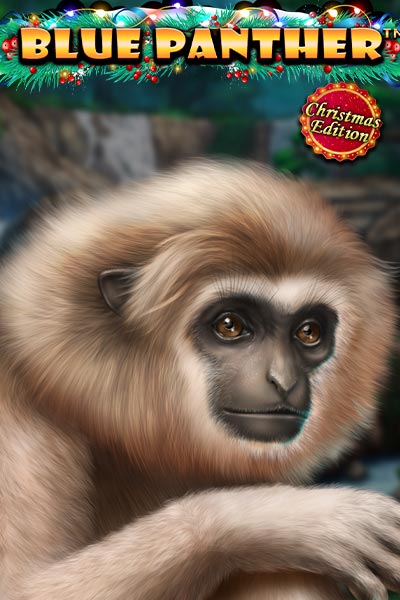 Blue Panther-Christmas Edition